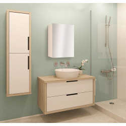 Armoire salle de bain Tempo - 1 porte - 60 x 40 x 17 cm